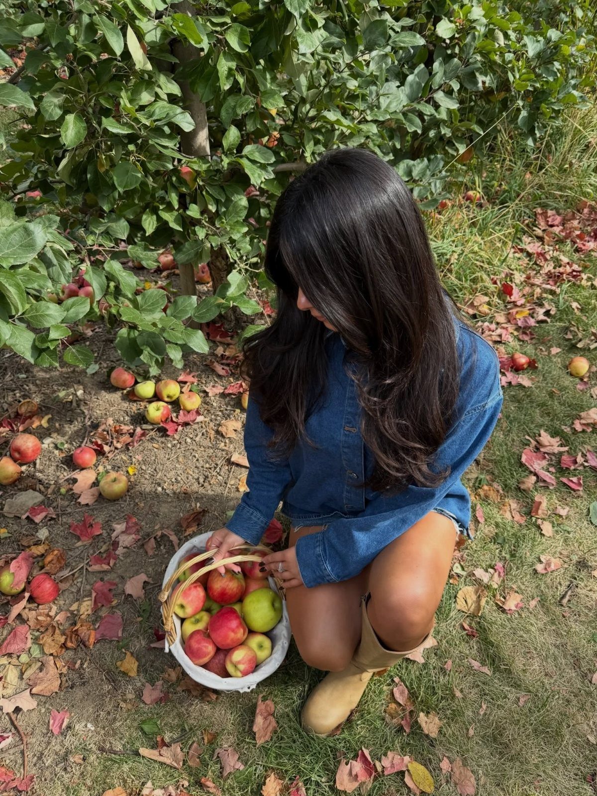 Apple Picking Outfit Ideas: 12 Looks for the Orchard 7 Woman in denim shirt and tan boots picking apples in an orchard