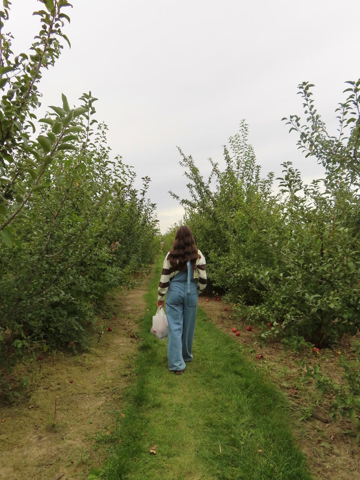Apple Picking Outfit Ideas: 12 Looks for the Orchard 6 Woman in denim overalls and striped shirt walking through an apple orchard