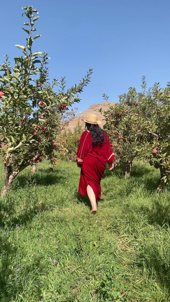 Apple Picking Outfit Ideas: 12 Looks for the Orchard 11 Woman in a red dress and straw hat walking through an apple orchard