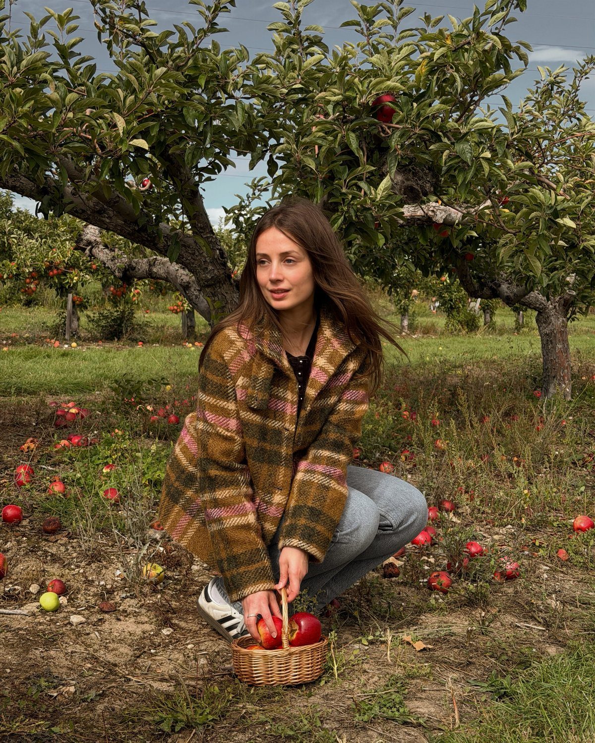 Apple Picking Outfit Ideas: 12 Looks for the Orchard 3 Woman in plaid shacket and jeans crouching in apple orchard with basket of apples.