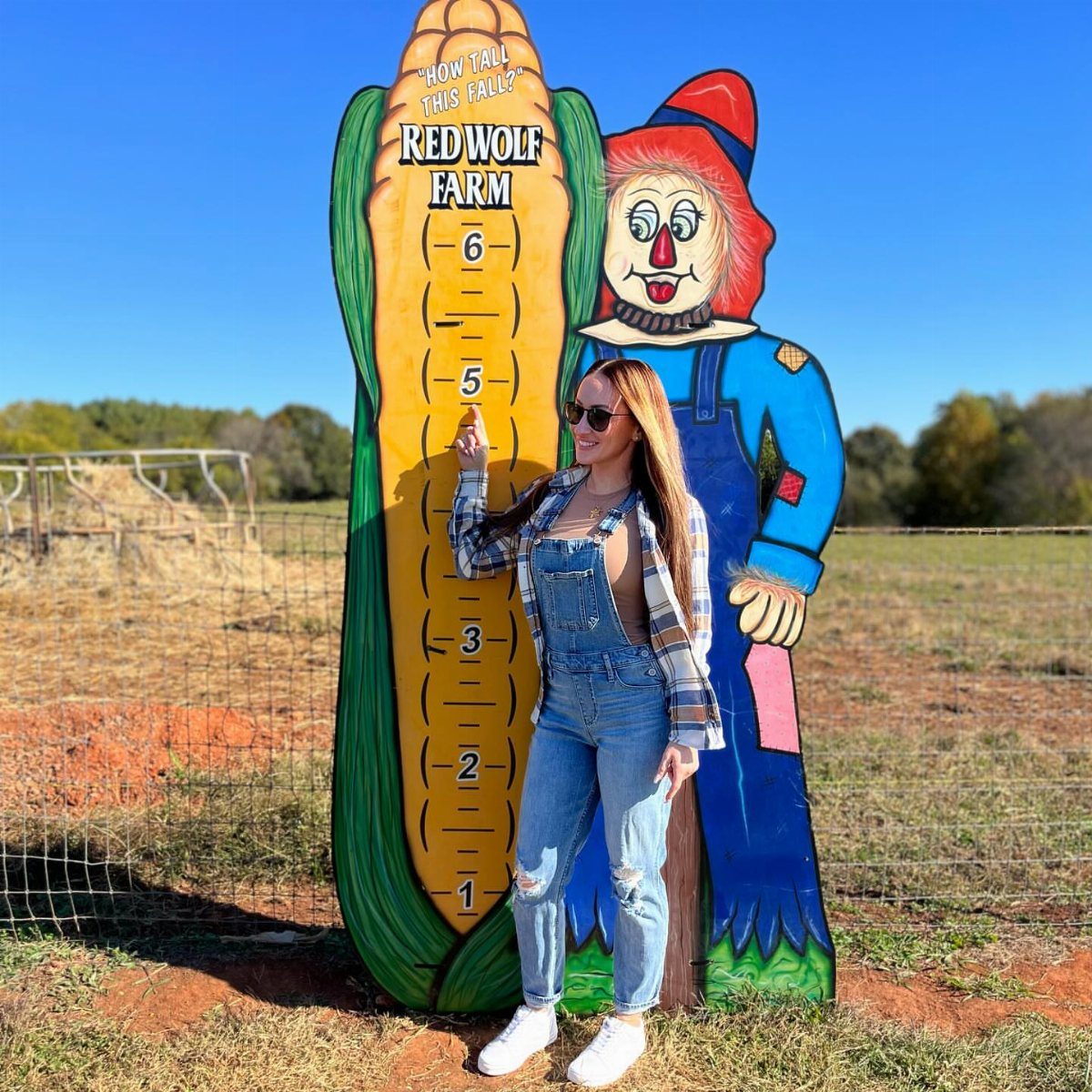 Woman in plaid shirt and denim dungarees posing by a farm cutout.